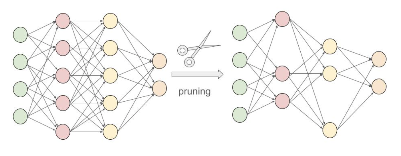 Fig 12.2 Network pruning.